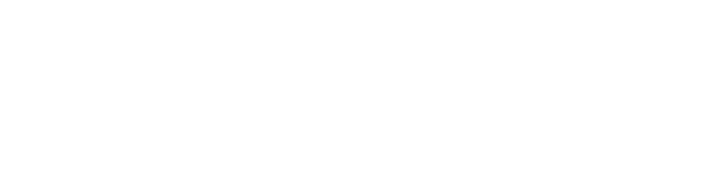 20 Jahre VISUAL FACILITATORS – ich bin dabei - VF Logo making an impact claim white SMALL